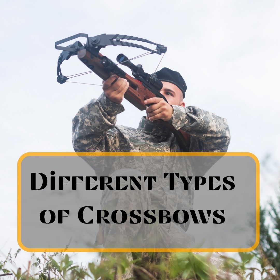 Types of Crossbows